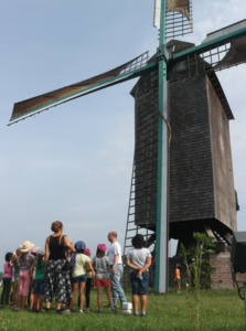 De Robinsons van Neerpede!