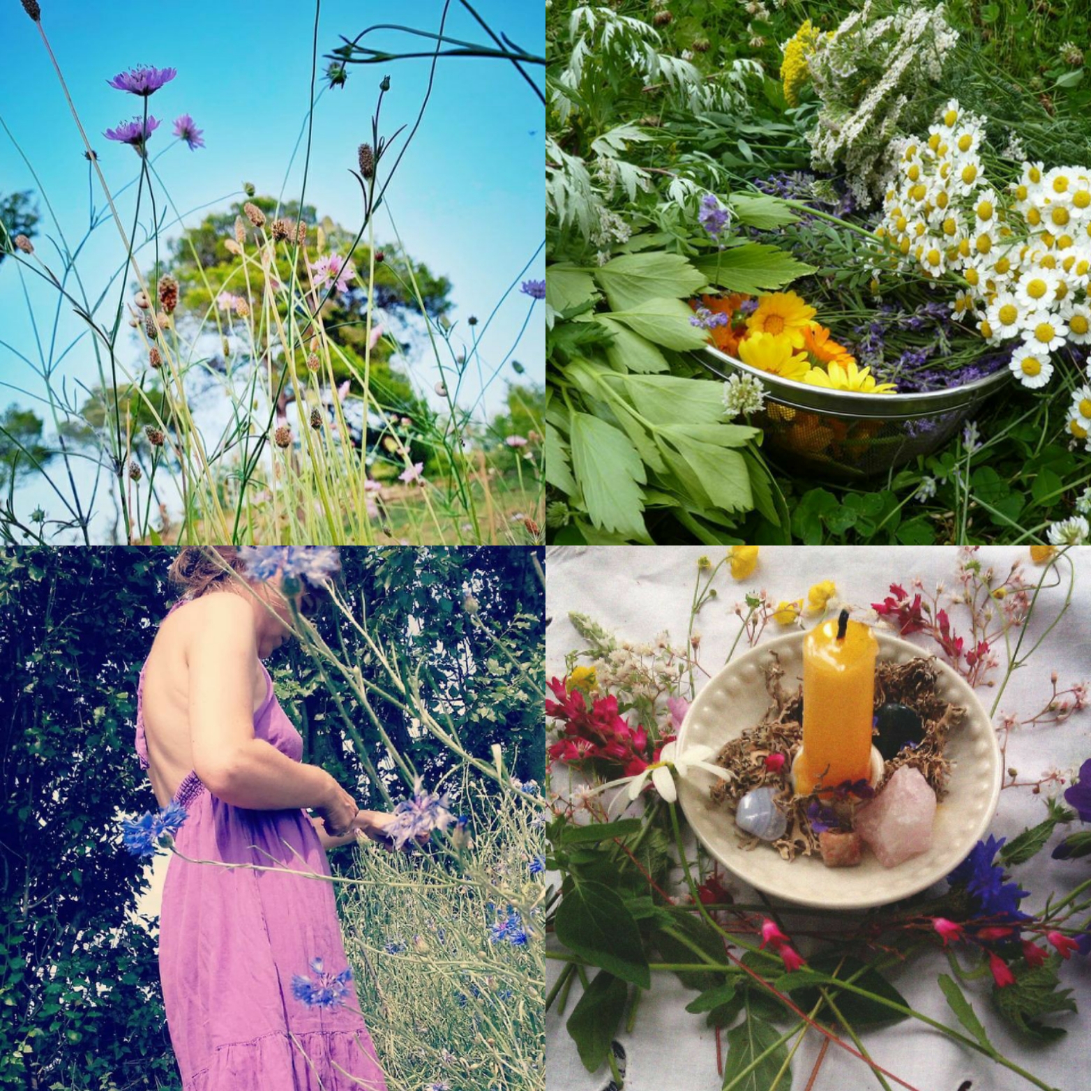 Célébrons le Printemps & Beltane
