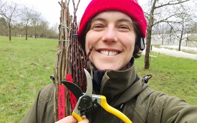 Chamdi – Leer hoe je een microfruitkwekerij maakt!