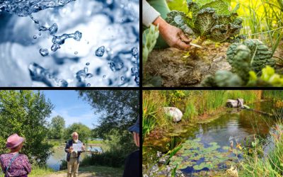 Waterdag in Neerpede