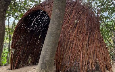 Co-construisons une cabane en osier!