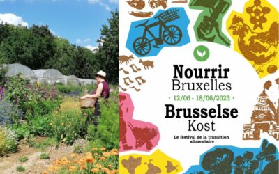 Geannuleerd! Chamdi June: Brussel voeden… met wilde planten!