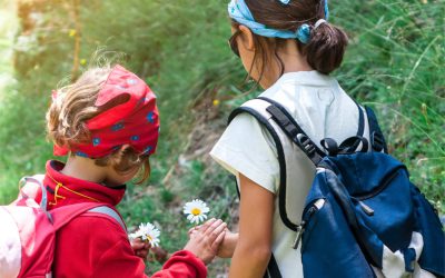 UITVERKOCHT! Zomercursus natuur in augustus: De Robinson’s van Neerpede!