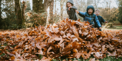 Le rendez-vous des petits naturalistes