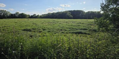 Het Land van Neerpede, van braakliggend terrein naar braakliggend terrein