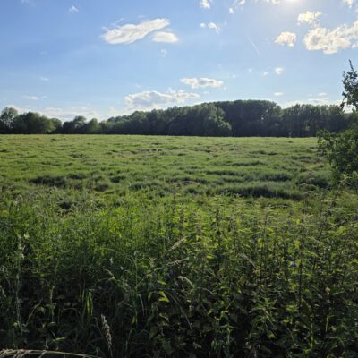 Le Pays de Neerpede de friches en friches