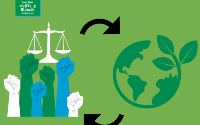 Animation écologie et justice sociale